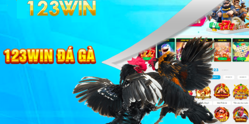 Game đá gà 123win online được ưa chuộng vì đâu?